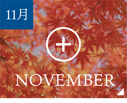 11月