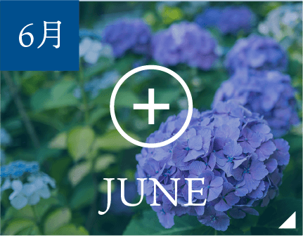 6月