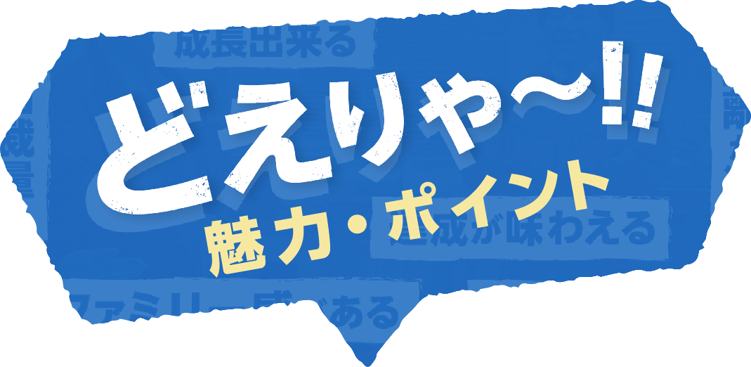 どえりゃー魅力・ポイント